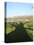 Shadow Cast by Large English Oak Tree (Quercus Robur) on Ornamental Lake, Corsham, England-Nick Upton-Stretched Canvas