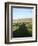 Shadow Cast by Large English Oak Tree (Quercus Robur) on Ornamental Lake, Corsham, England-Nick Upton-Framed Photographic Print