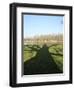 Shadow Cast by Large English Oak Tree (Quercus Robur) on Ornamental Lake, Corsham, England-Nick Upton-Framed Photographic Print