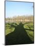 Shadow Cast by Large English Oak Tree (Quercus Robur) on Ornamental Lake, Corsham, England-Nick Upton-Mounted Photographic Print