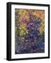 Shadow Dance-James W Johnson-Framed Giclee Print