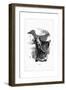 Shadow Drawing. C.H. Bennett, Goose-Charles H Bennett-Framed Giclee Print