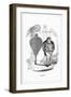 Shadow Drawing. C.H. Bennett, Windbag-Charles H Bennett-Framed Art Print