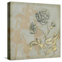 Shadow Floral IV-Megan Meagher-Stretched Canvas
