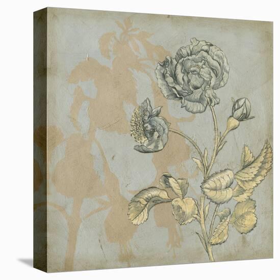 Shadow Floral IV-Megan Meagher-Stretched Canvas