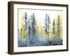 Shadow Forest I-Chariklia Zarris-Framed Art Print