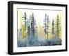 Shadow Forest I-Chariklia Zarris-Framed Art Print