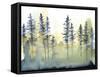 Shadow Forest II-Chariklia Zarris-Framed Stretched Canvas