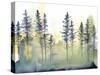 Shadow Forest II-Chariklia Zarris-Stretched Canvas