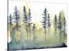 Shadow Forest II-Chariklia Zarris-Stretched Canvas