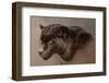 Shadow Hunter-Kalon Baughan-Framed Art Print