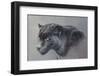 Shadow Hunter-Kalon Baughan-Framed Giclee Print