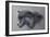 Shadow Hunter-Kalon Baughan-Framed Giclee Print