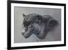 Shadow Hunter-Kalon Baughan-Framed Art Print