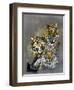 Shadow Hunter-Barbara Keith-Framed Premium Giclee Print