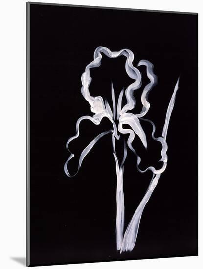 Shadow Iris-Susan Gillette-Mounted Giclee Print