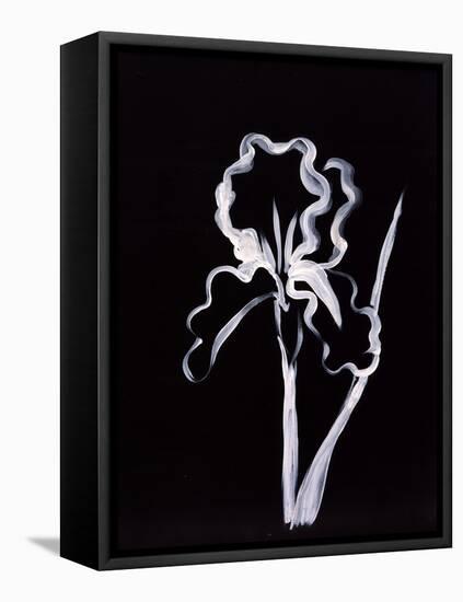 Shadow Iris-Susan Gillette-Framed Stretched Canvas