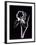 Shadow Iris-Susan Gillette-Framed Giclee Print