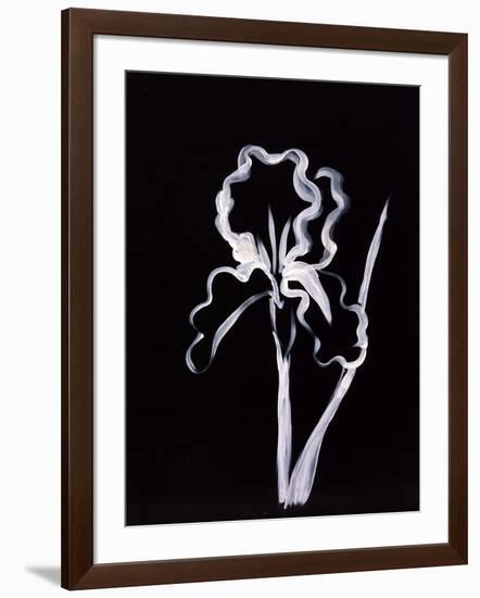 Shadow Iris-Susan Gillette-Framed Giclee Print