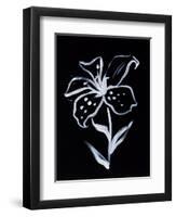 Shadow Lily-Susan Gillette-Framed Giclee Print