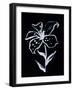 Shadow Lily-Susan Gillette-Framed Giclee Print