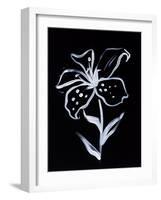 Shadow Lily-Susan Gillette-Framed Giclee Print