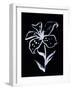 Shadow Lily-Susan Gillette-Framed Giclee Print