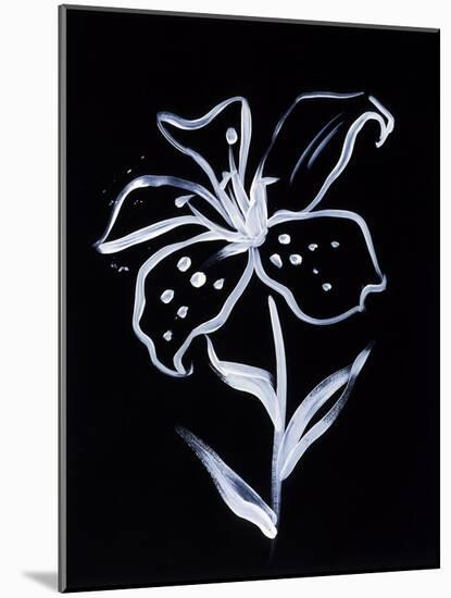 Shadow Lily-Susan Gillette-Mounted Giclee Print