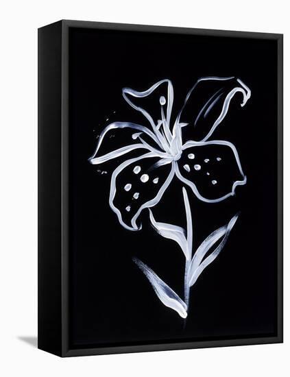 Shadow Lily-Susan Gillette-Framed Stretched Canvas