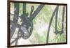 Shadow of a bicycle against a green wall-Art Wolfe-Framed Photographic Print