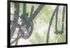 Shadow of a bicycle against a green wall-Art Wolfe-Framed Photographic Print