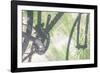 Shadow of a bicycle against a green wall-Art Wolfe-Framed Photographic Print