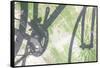 Shadow of a bicycle against a green wall-Art Wolfe-Framed Stretched Canvas