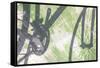 Shadow of a bicycle against a green wall-Art Wolfe-Framed Stretched Canvas