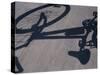 Shadow of a Bicycle-null-Stretched Canvas