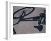 Shadow of a Bicycle-null-Framed Photographic Print