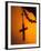 Shadow of a Cross-Pascal Deloche-Framed Photographic Print