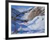 Shadow of a Fir Tree, And Skiers Tignes, 2014-Andrew Macara-Framed Giclee Print