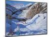 Shadow of a Fir Tree, And Skiers Tignes, 2014-Andrew Macara-Mounted Giclee Print