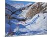 Shadow of a Fir Tree, And Skiers Tignes, 2014-Andrew Macara-Mounted Giclee Print