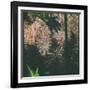 Shadow of a Hand-Clive Nolan-Framed Photographic Print