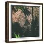 Shadow of a Hand-Clive Nolan-Framed Photographic Print