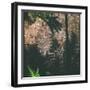 Shadow of a Hand-Clive Nolan-Framed Photographic Print