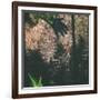 Shadow of a Hand-Clive Nolan-Framed Photographic Print