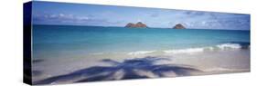 Shadow of a Tree on the Beach, Lanikai Beach, Oahu, Hawaii, USA-null-Stretched Canvas
