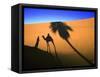 Shadow of Camel and Palm Tree-Martin Harvey-Framed Stretched Canvas