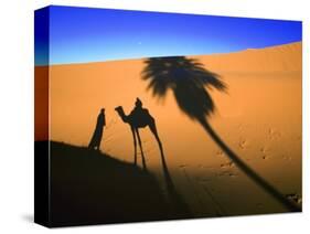 Shadow of Camel and Palm Tree-Martin Harvey-Stretched Canvas