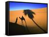 Shadow of Camel and Palm Tree-Martin Harvey-Framed Stretched Canvas