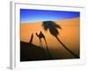 Shadow of Camel and Palm Tree-Martin Harvey-Framed Photographic Print