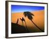 Shadow of Camel and Palm Tree-Martin Harvey-Framed Photographic Print